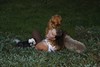 Izzie and Friends 9-3 (unedited) : 